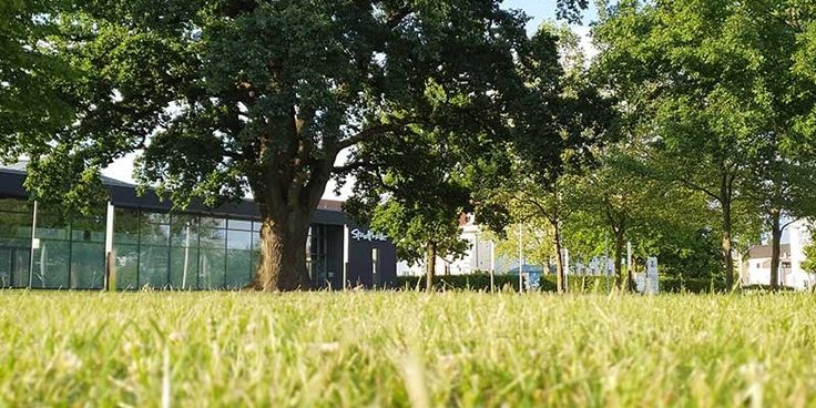 Ein neues Triathlon-Event für Niederbayern