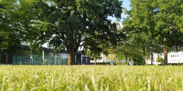 Triathlon-Premiere auf 2022 verschoben